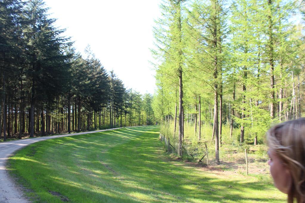 Landbrise Villa Petersfeld Exterior foto